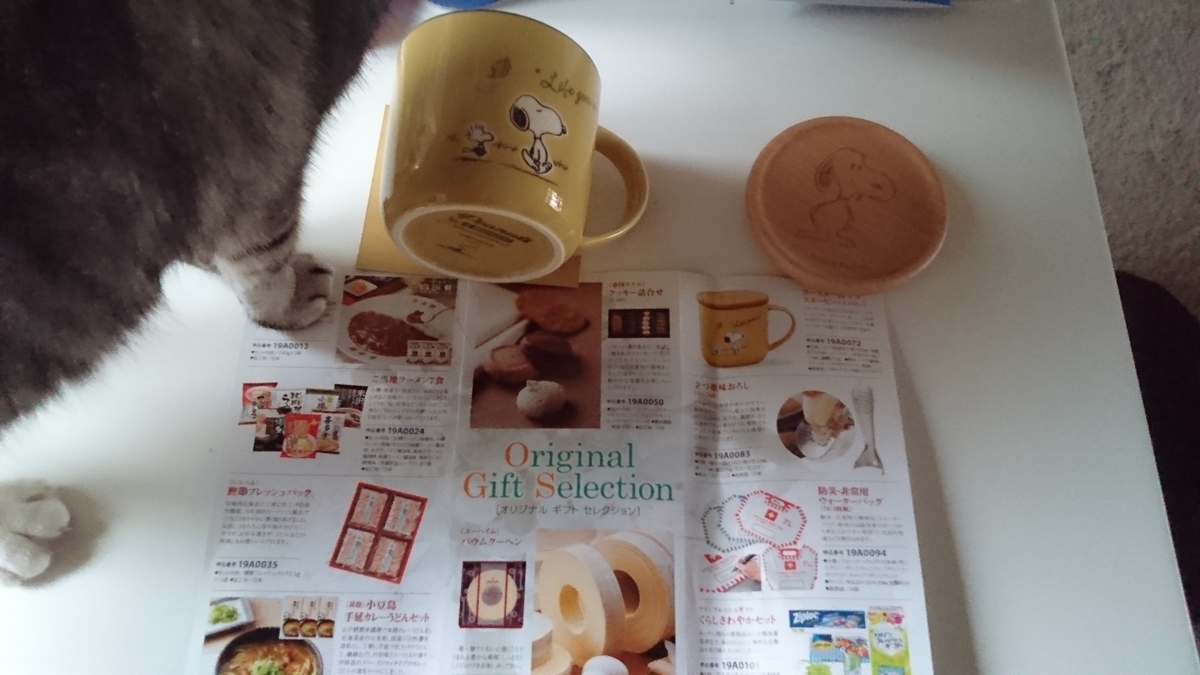 f:id:nyannkorinn:20190716175209j:plain