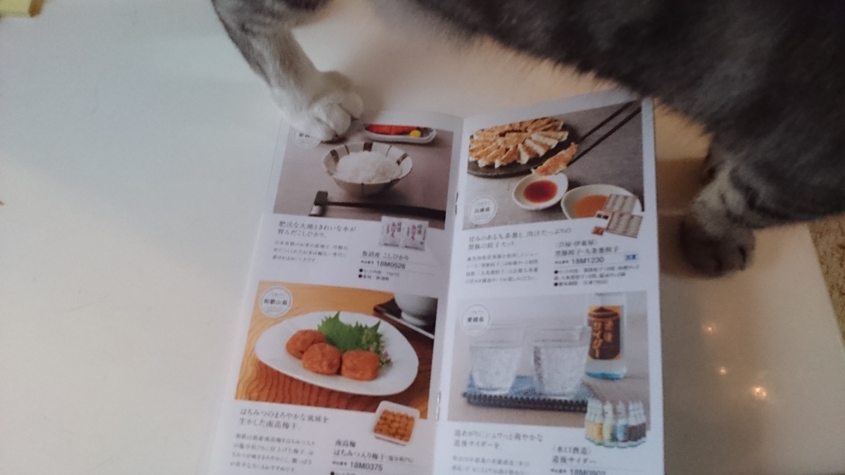 f:id:nyannkorinn:20190722180500j:plain f:id:nyannkorinn:20190722180500j:plain