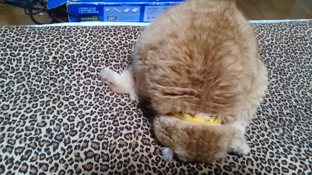 f:id:nyannkorinn:20191210053355j:plain