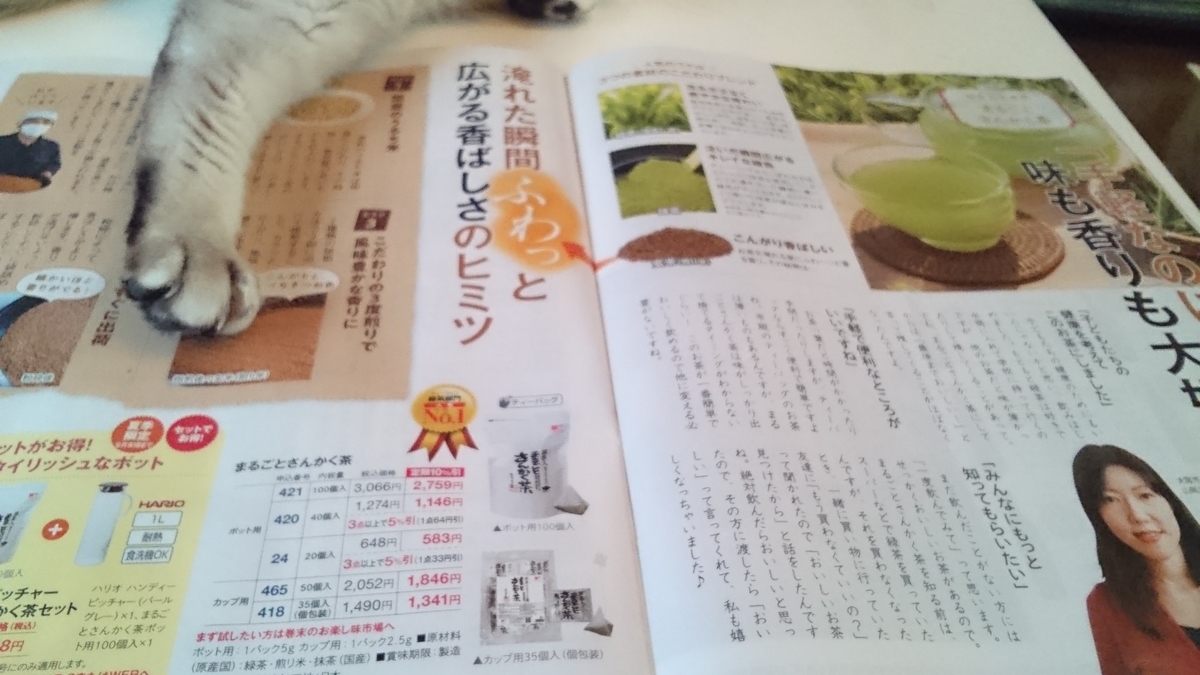 f:id:nyannkorinn:20200510164123j:plain f:id:nyannkorinn:20200510164123j:plain