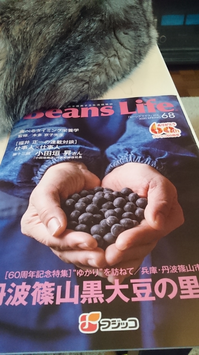 f:id:nyannkorinn:20200510164952j:plain f:id:nyannkorinn:20200510164952j:plain