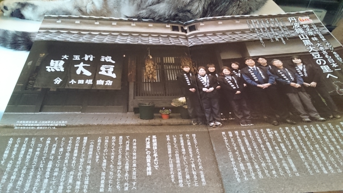 f:id:nyannkorinn:20200510165255j:plain f:id:nyannkorinn:20200510165255j:plain
