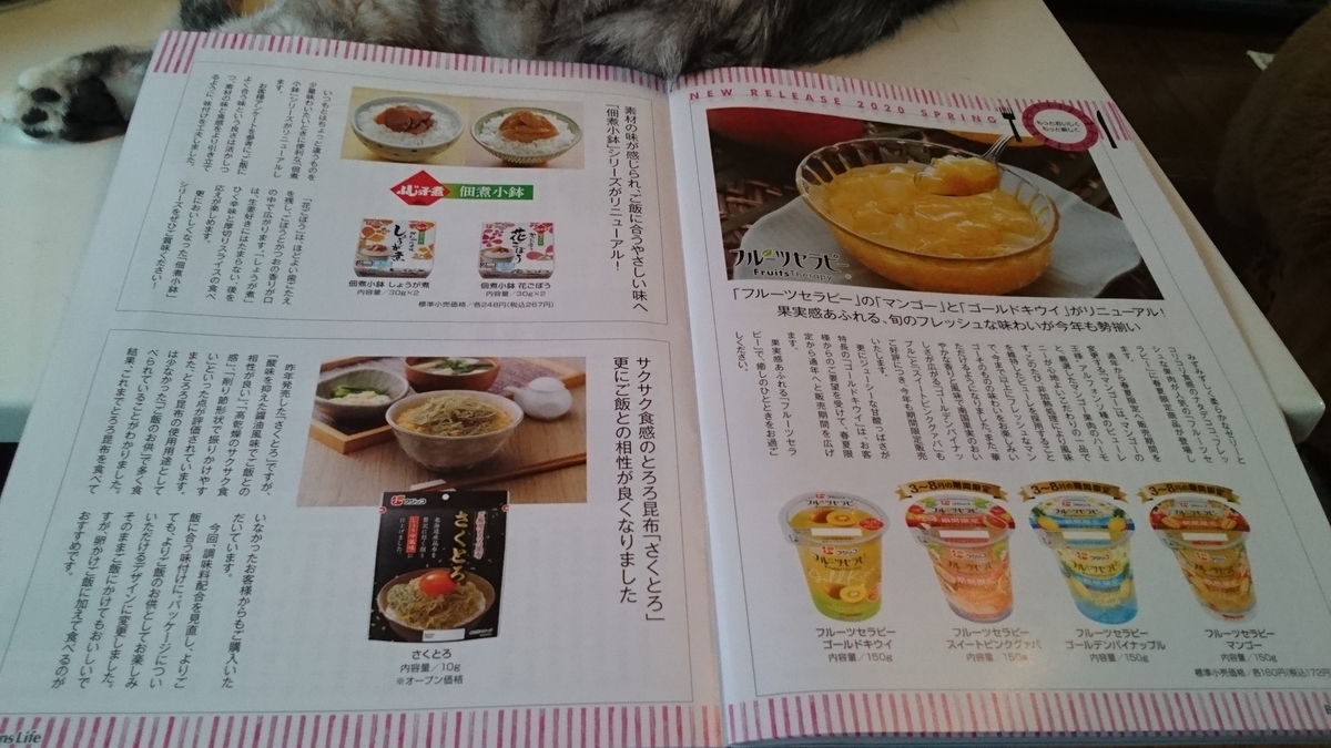 f:id:nyannkorinn:20200510165859j:plain f:id:nyannkorinn:20200510165859j:plain