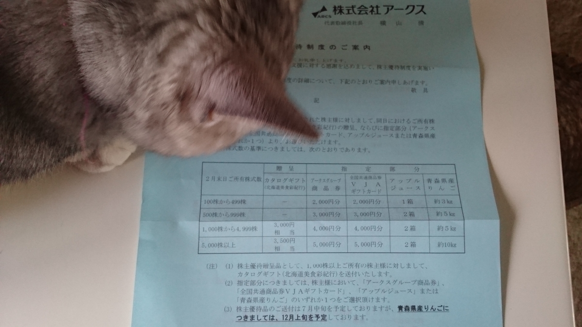 f:id:nyannkorinn:20200712123532j:plain