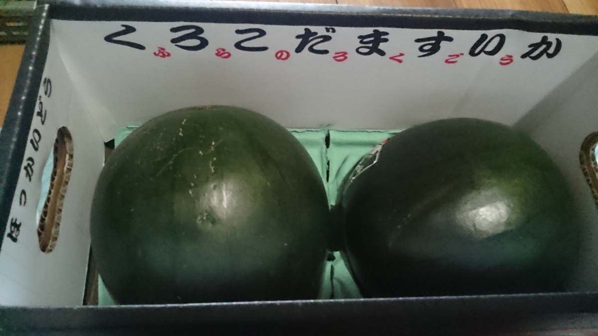 f:id:nyannkorinn:20200725160143j:plain