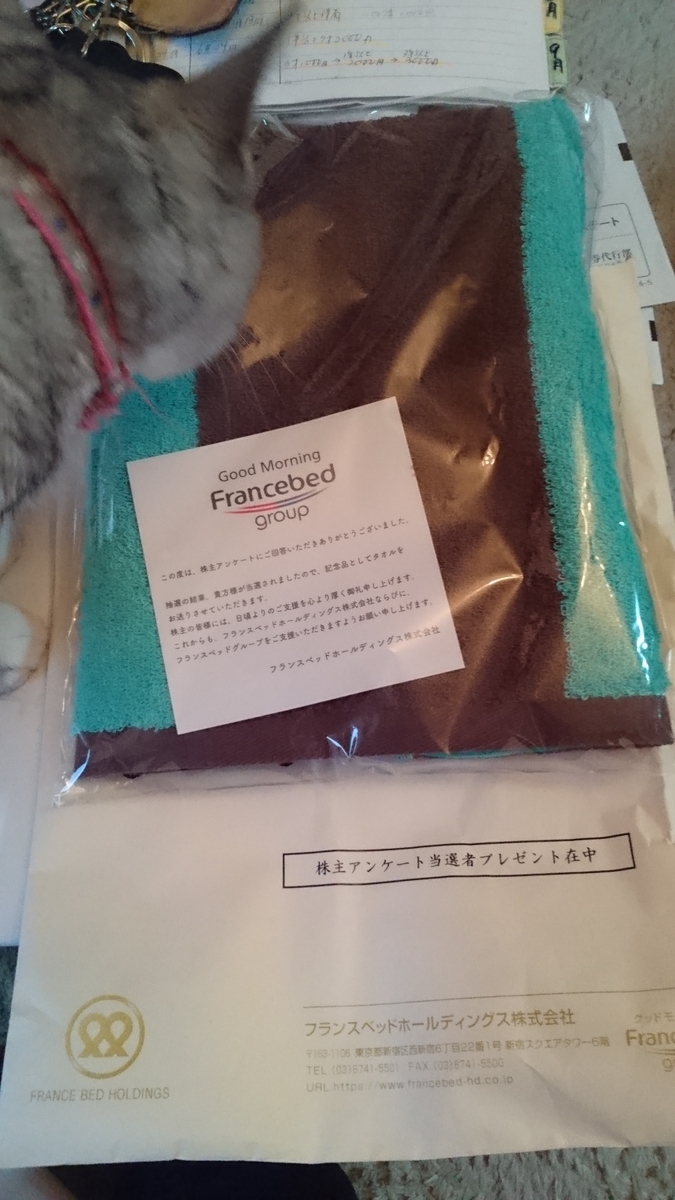 f:id:nyannkorinn:20200929170654j:plain