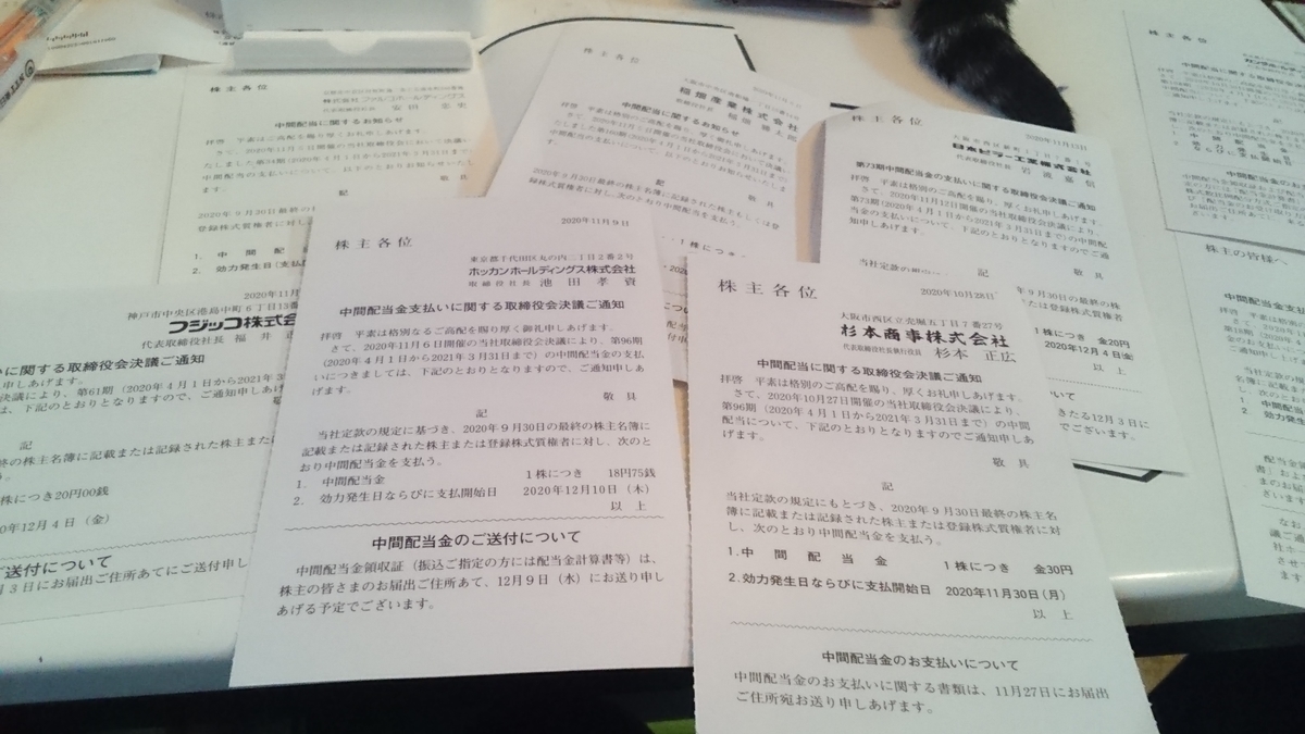 f:id:nyannkorinn:20201122163405j:plain