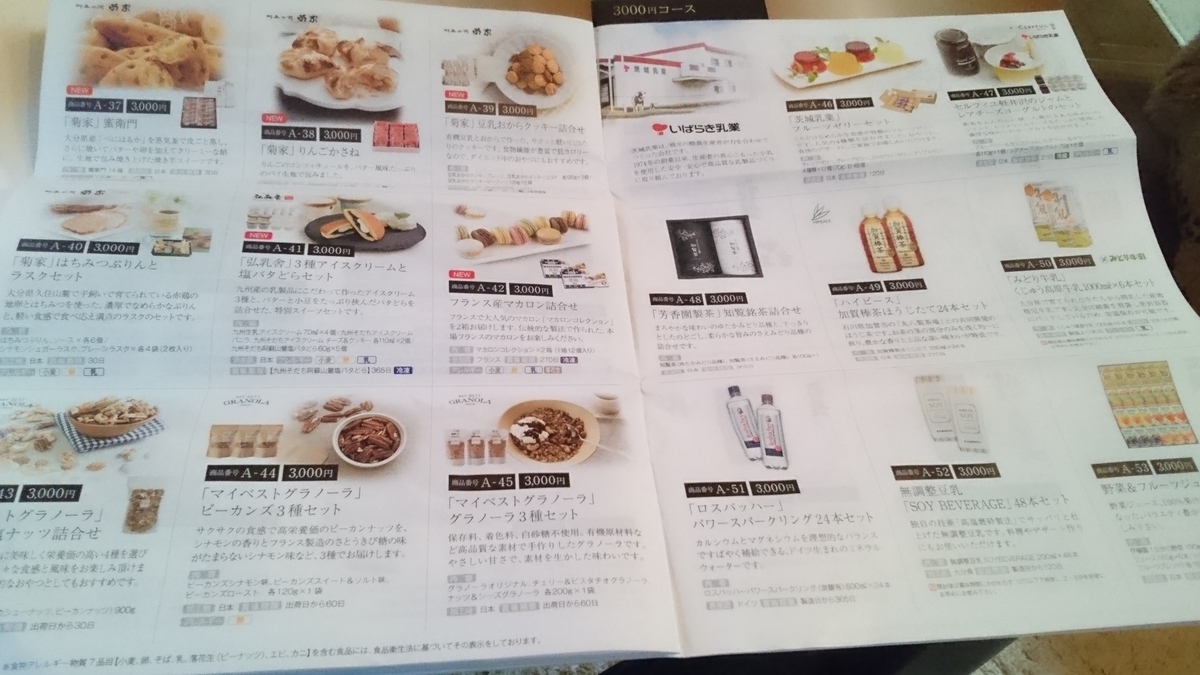 f:id:nyannkorinn:20201229162347j:plain