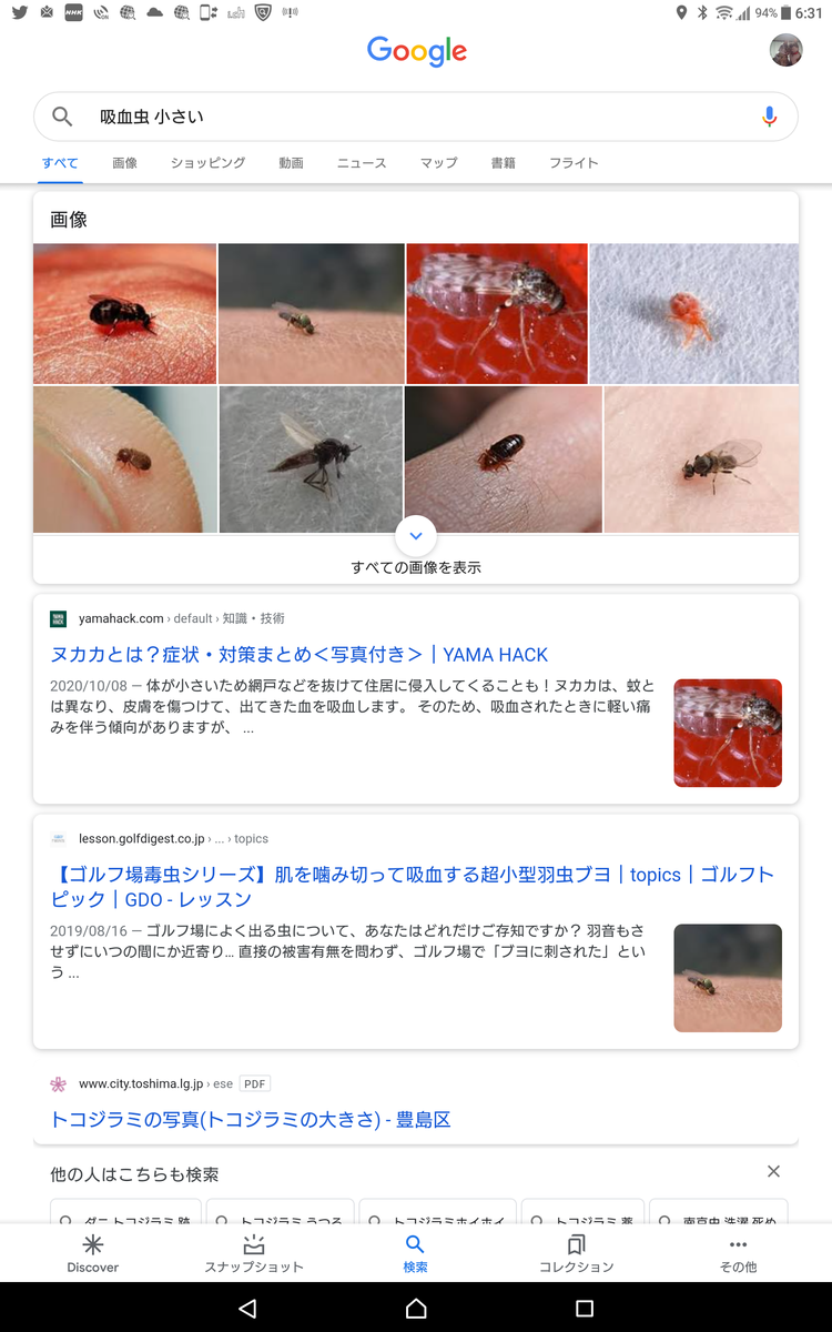 f:id:nyannkorinn:20210107170934p:plain