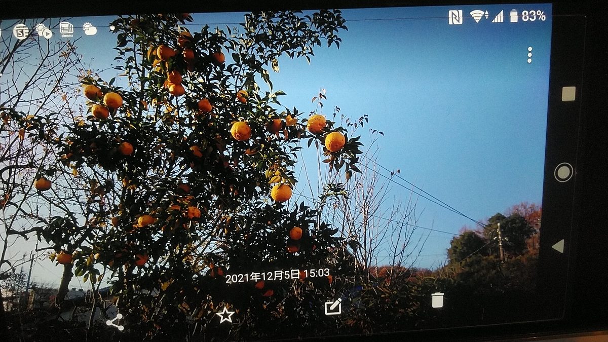 f:id:nyannkorinn:20211205161913j:plain