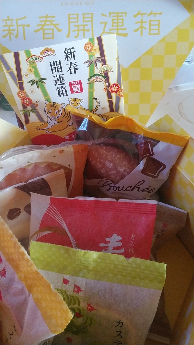 f:id:nyannkorinn:20220102130157j:plain