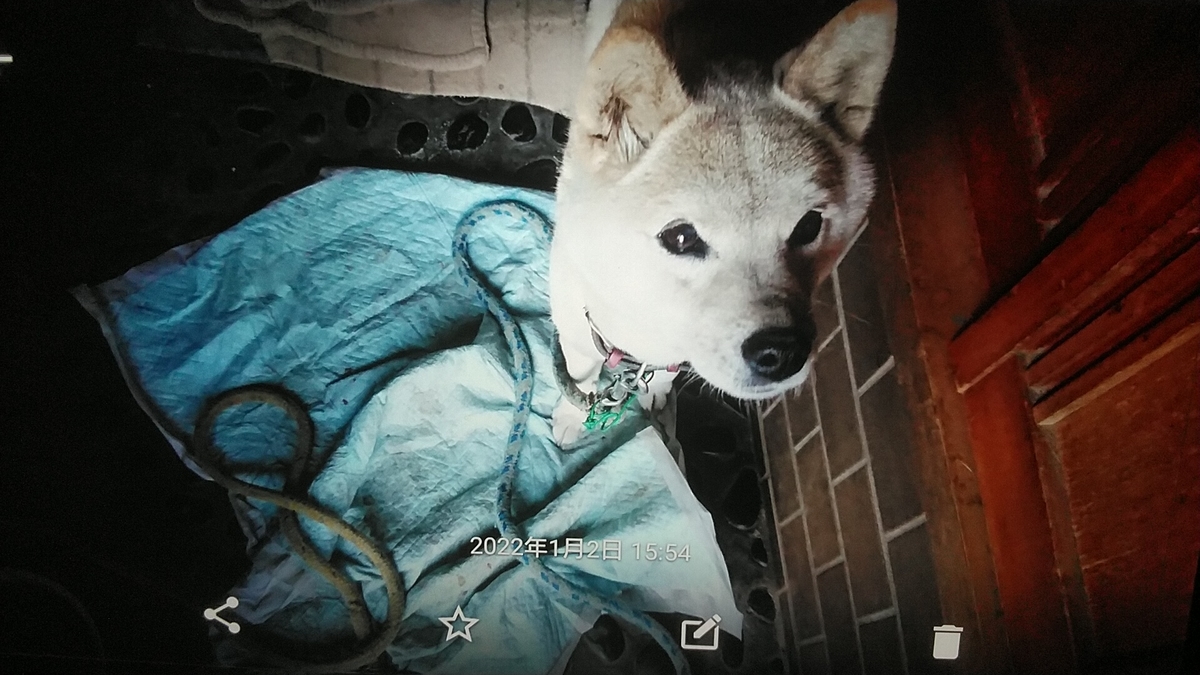 f:id:nyannkorinn:20220102162838j:plain