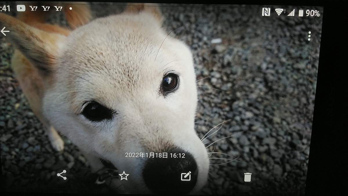 f:id:nyannkorinn:20220118174118j:plain