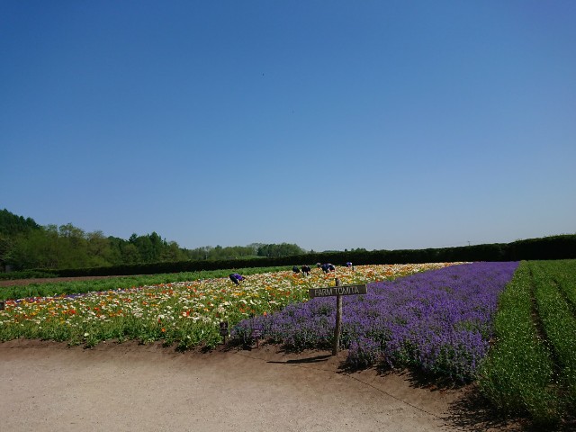 f:id:nyanshin:20190604182241j:image f:id:nyanshin:20190604182241j:image