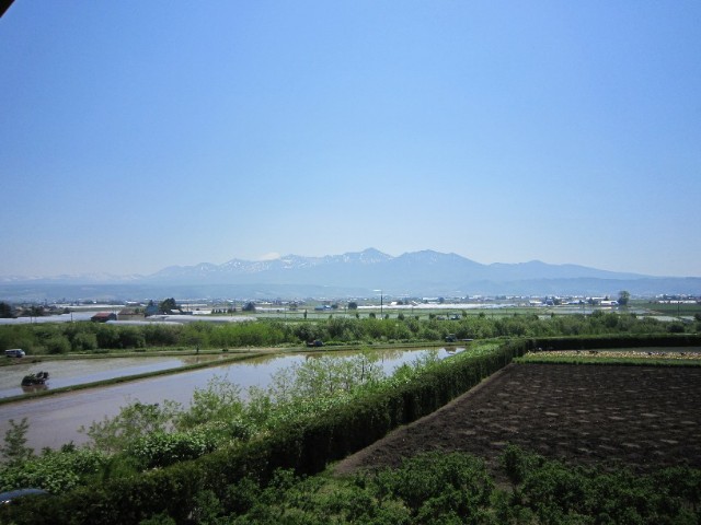 f:id:nyanshin:20190604182551j:image f:id:nyanshin:20190604182551j:image