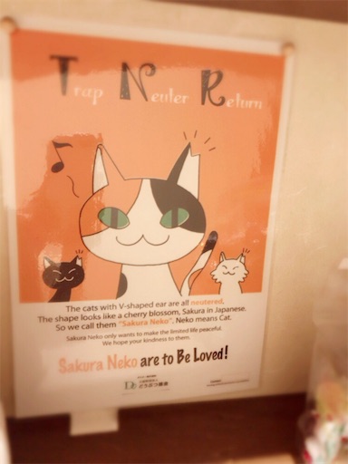f:id:nyansu-nyan:20171103224650j:image f:id:nyansu-nyan:20171103224650j:image