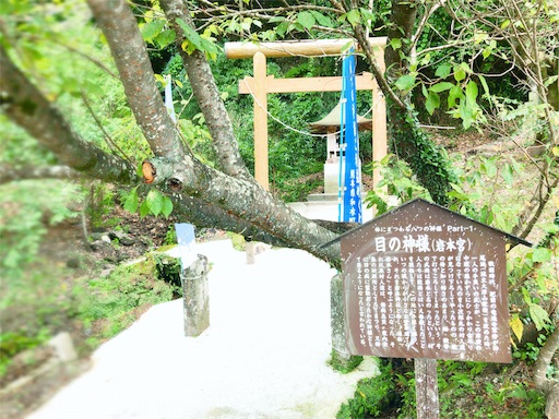f:id:nyansu-nyan:20190820070157j:image f:id:nyansu-nyan:20190820070157j:image