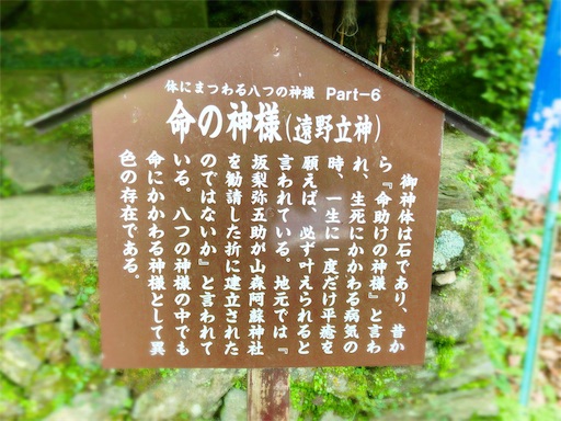 f:id:nyansu-nyan:20190820070237j:image f:id:nyansu-nyan:20190820070237j:image