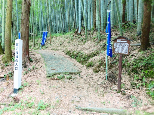 f:id:nyansu-nyan:20190820070322j:image f:id:nyansu-nyan:20190820070322j:image
