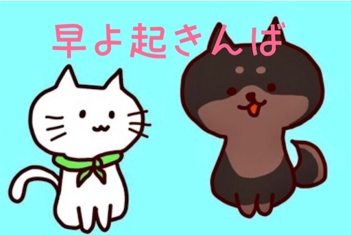 f:id:nyansu-nyan:20200422212432j:image f:id:nyansu-nyan:20200422212432j:image