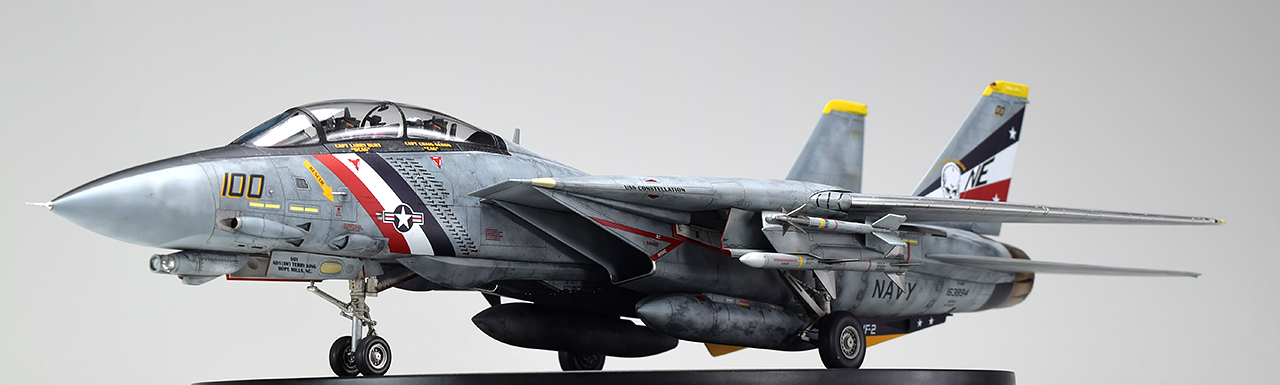 1/48 タミヤ F-14D トムキャット バウンティハンターズ - プロモデラー