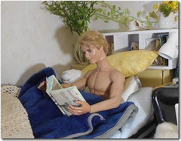 f:id:nyanteicafe:20190320155556j:plain