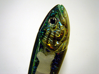 f:id:nyantoro:20080122184344j:image f:id:nyantoro:20080122184344j:image