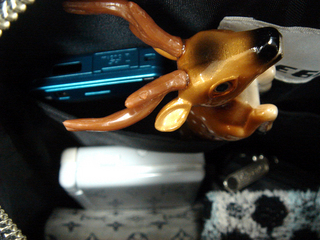f:id:nyantoro:20080122184459j:image f:id:nyantoro:20080122184459j:image