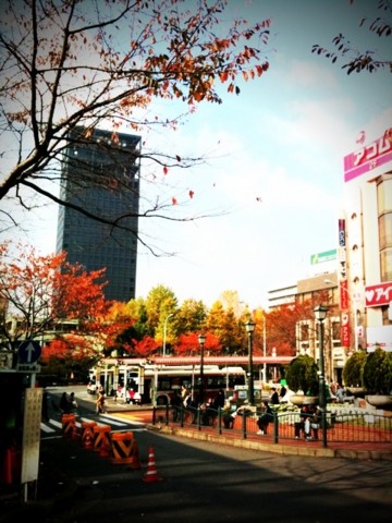 f:id:nyantoro:20091127005532j:image