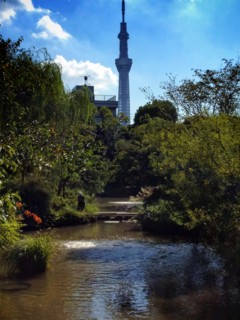 f:id:nyantoro:20121008180052j:image