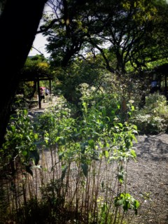 f:id:nyantoro:20121008180053j:image