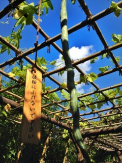 f:id:nyantoro:20121008180056j:image