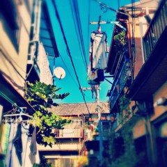f:id:nyantoro:20121008200730j:image