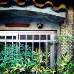 f:id:nyantoro:20121008224500j:image