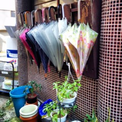 f:id:nyantoro:20121008224501j:image