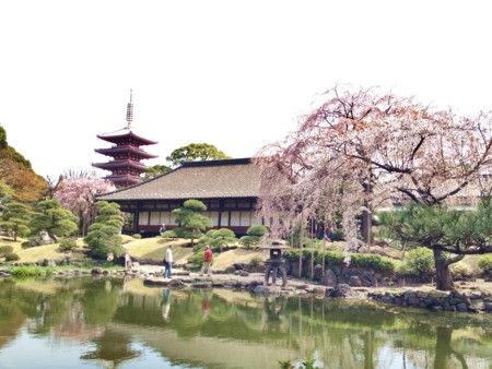 f:id:nyantoro:20121009002747j:image