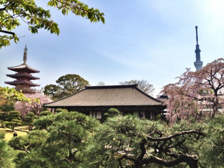 f:id:nyantoro:20121009002748j:image