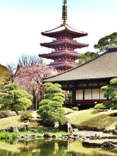 f:id:nyantoro:20121009002749j:image