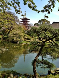 f:id:nyantoro:20121009002750j:image