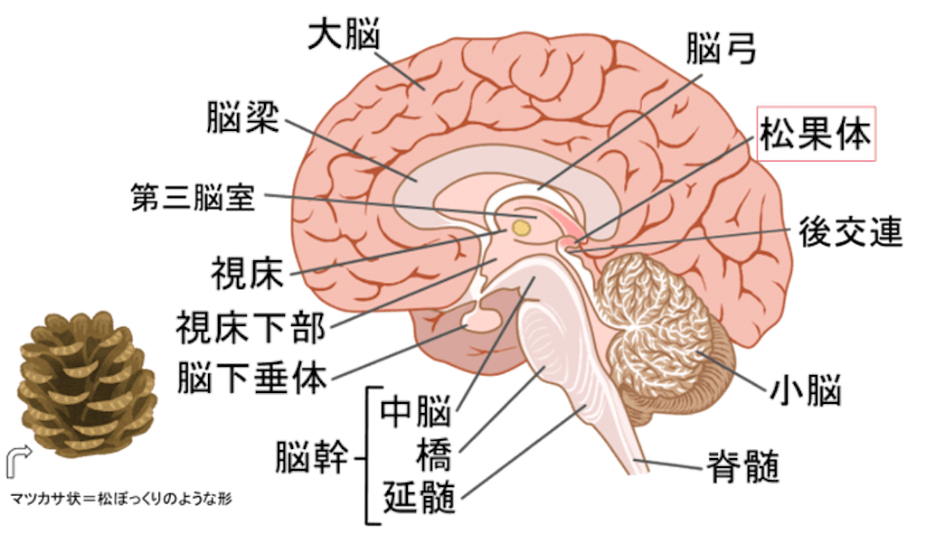 f:id:nyao0121:20180713171642p:image f:id:nyao0121:20180713171642p:image
