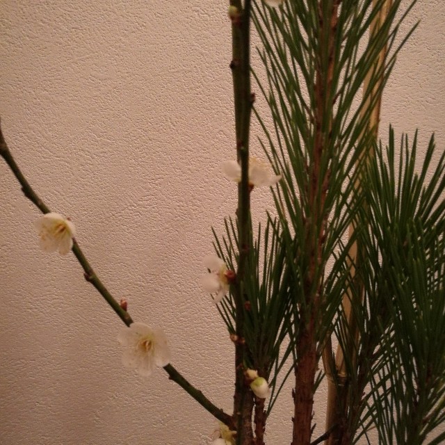 f:id:nyao0121:20200117150142j:image f:id:nyao0121:20200117150142j:image