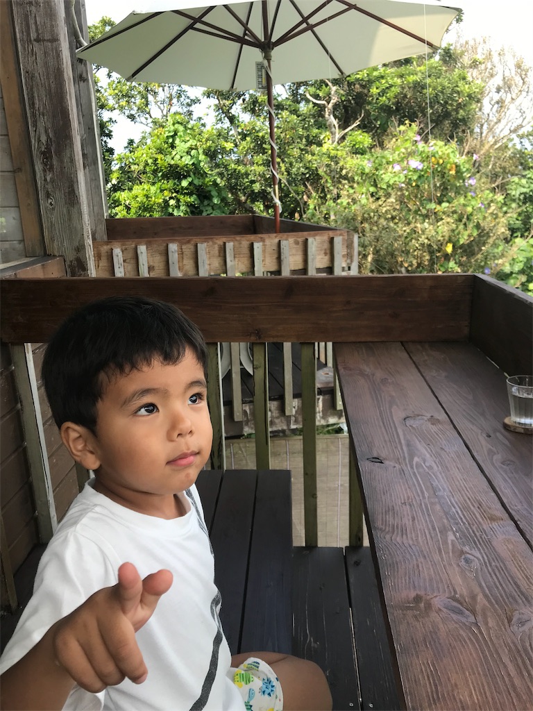 f:id:nyao2014:20190707004149j:image