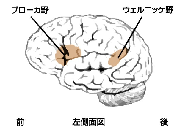 f:id:nyao24jp:20211103154837j:plain