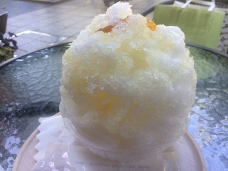 f:id:nyaofunhouse:20180701141919j:plain f:id:nyaofunhouse:20180701141919j:plain