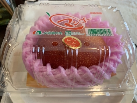 f:id:nyaofunhouse:20190526140612j:plain