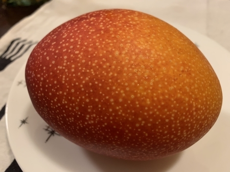 f:id:nyaofunhouse:20190526201314j:plain