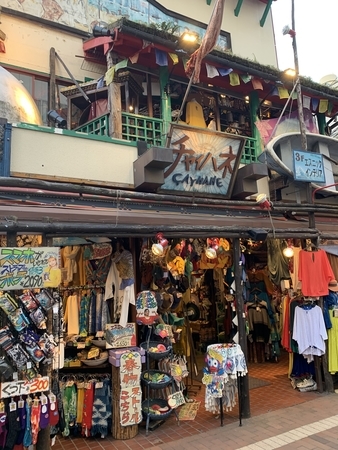 f:id:nyaofunhouse:20200319164353j:plain