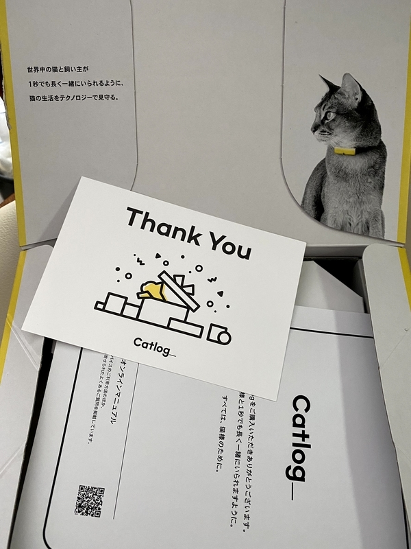 f:id:nyaon0511:20210119112958j:plain