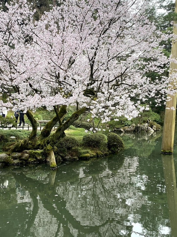 f:id:nyaon0511:20210331005200j:plain