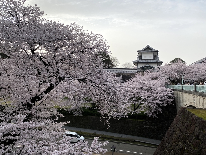 f:id:nyaon0511:20210331005218j:plain